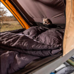 Capture d’écran 2026-01-31 à 20.28.54