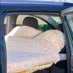 Capture d’écran 2026-02-01 à 12.34.24