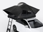 TLI-2026-01-SUN-comp.jpg