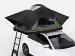 TLI-2026-01-SUN-comp.jpg